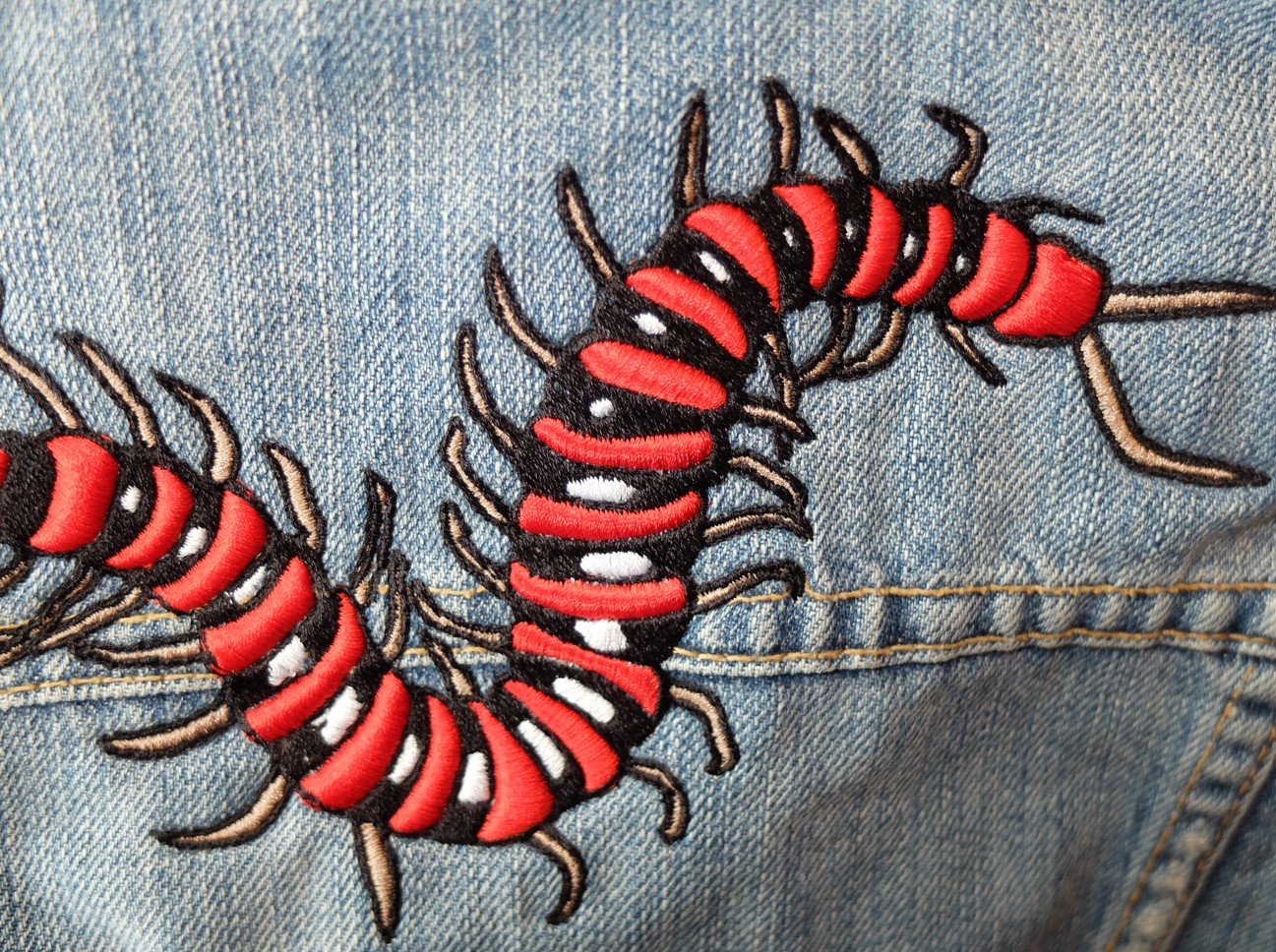 Flash Bugs – Image 5