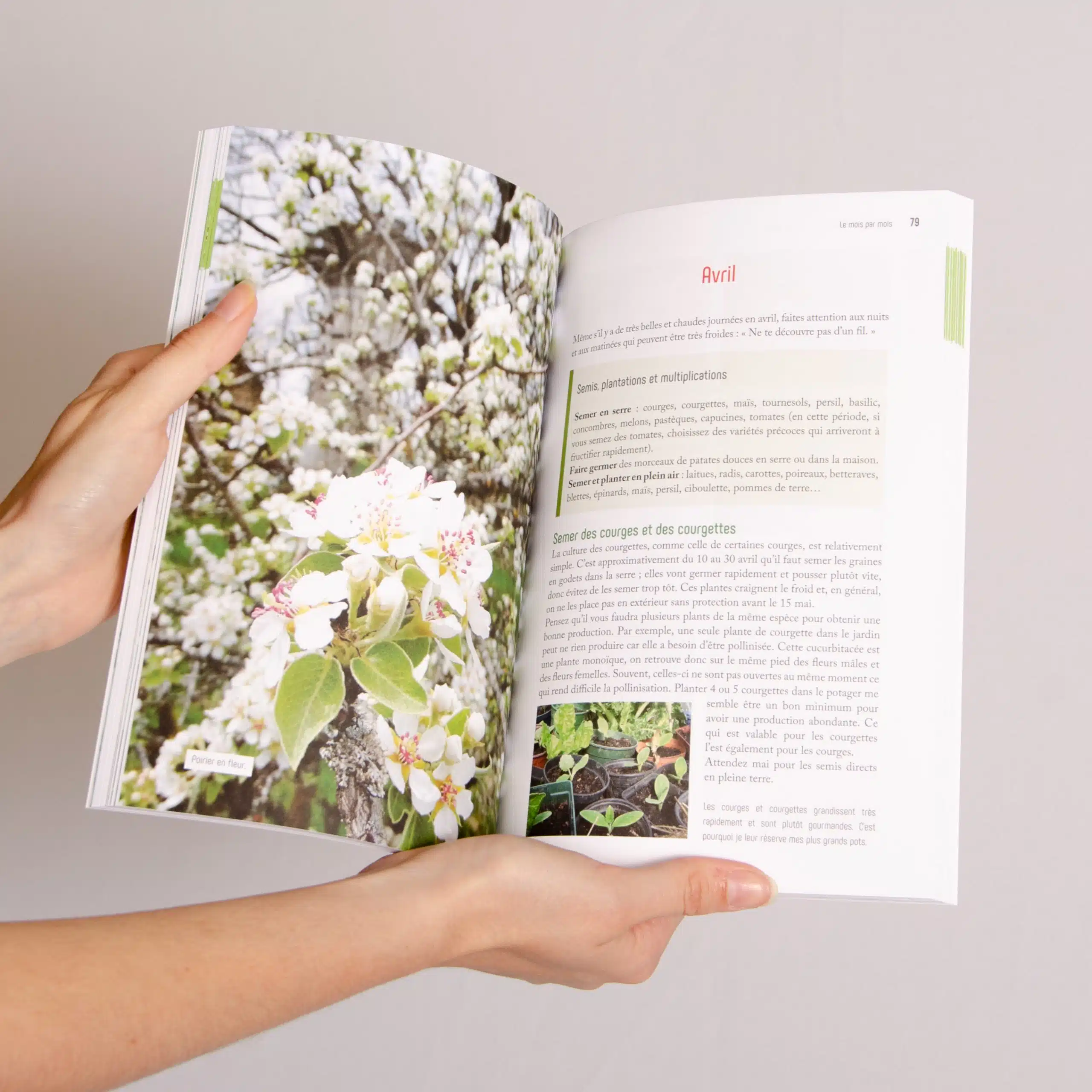 Livre la permaculture au jardin mois par mois – Damien Dekarz – Image 5